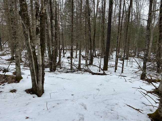 743 Woodlawn Rd, House other with 2 bedrooms, 1 bathrooms and null parking in Pickerel WI | Image 53