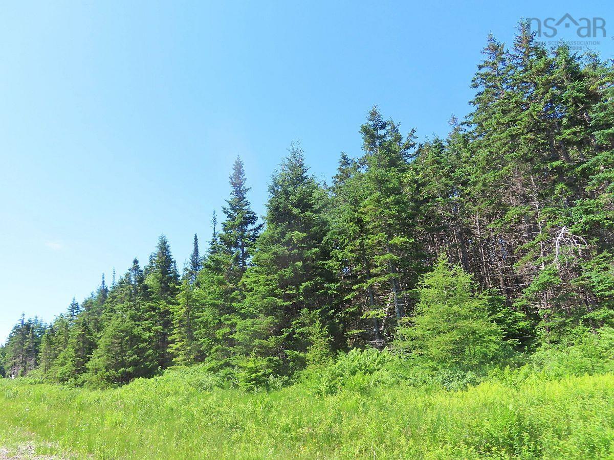 Land in Upper Grand Mira 4