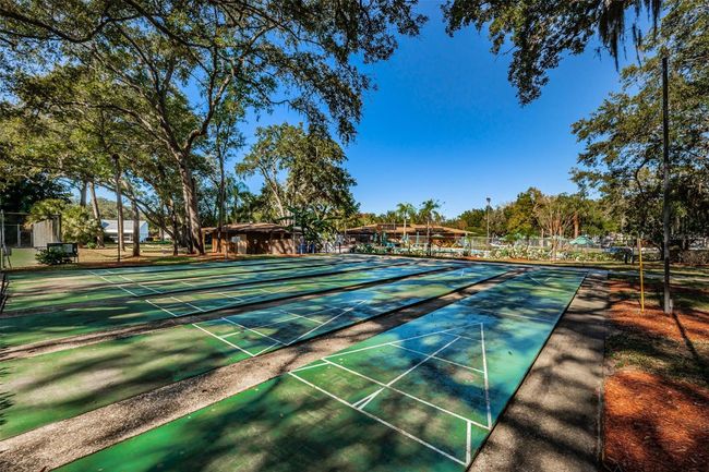 Community Shuffleboard court | Image 51
