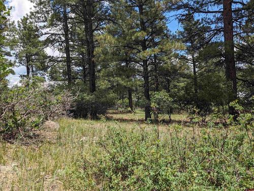 90 Balfour Ct, Pagosa Springs, CO, 81147-8813 | Card Image