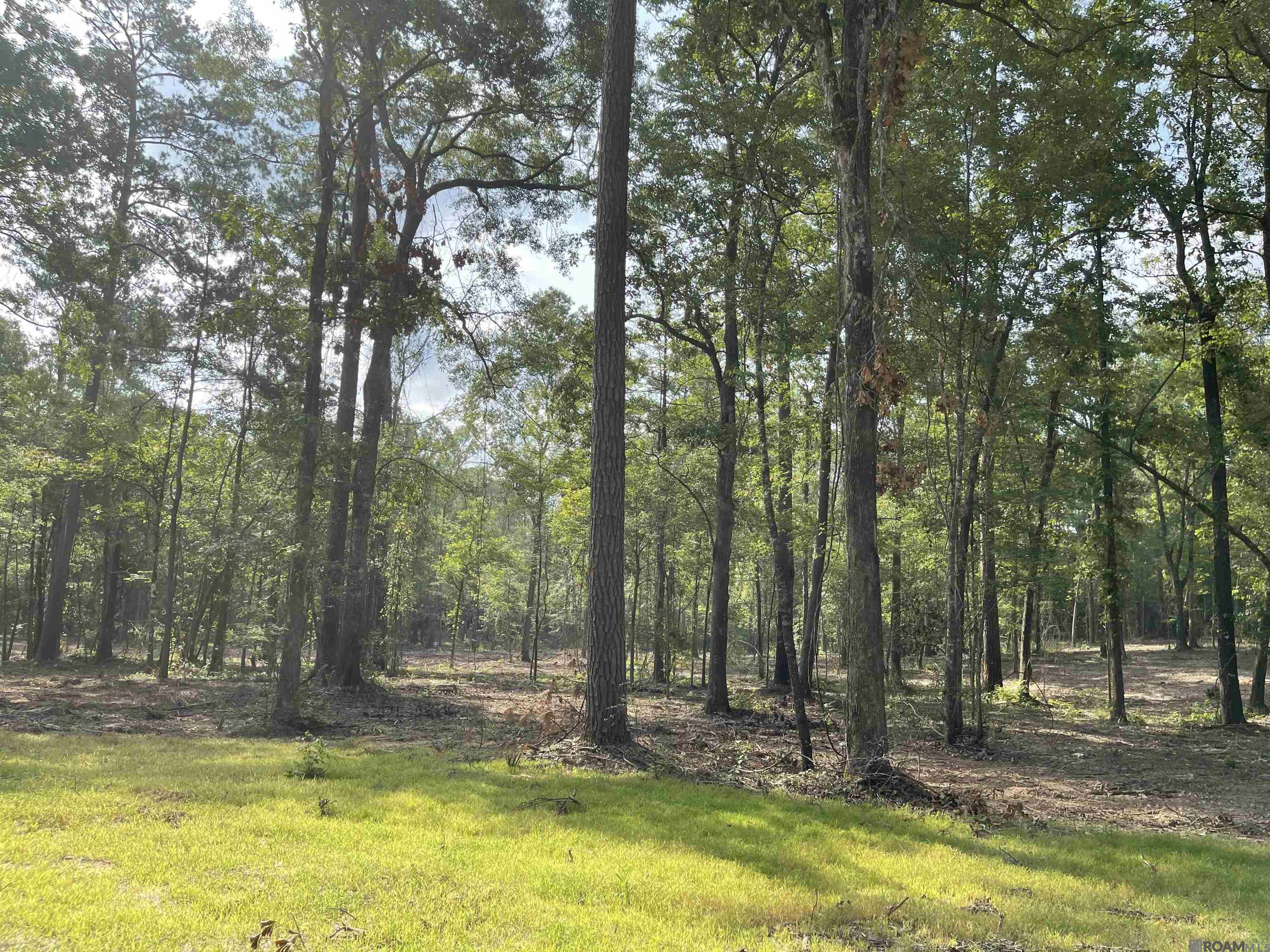 Land in Clinton