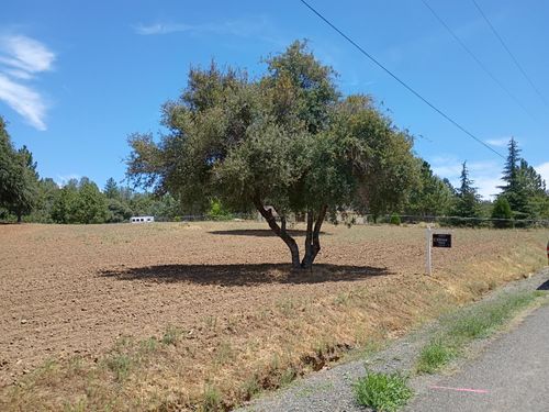 2629 Shilo Dr, Placerville, CA, 95667-9097 | Card Image