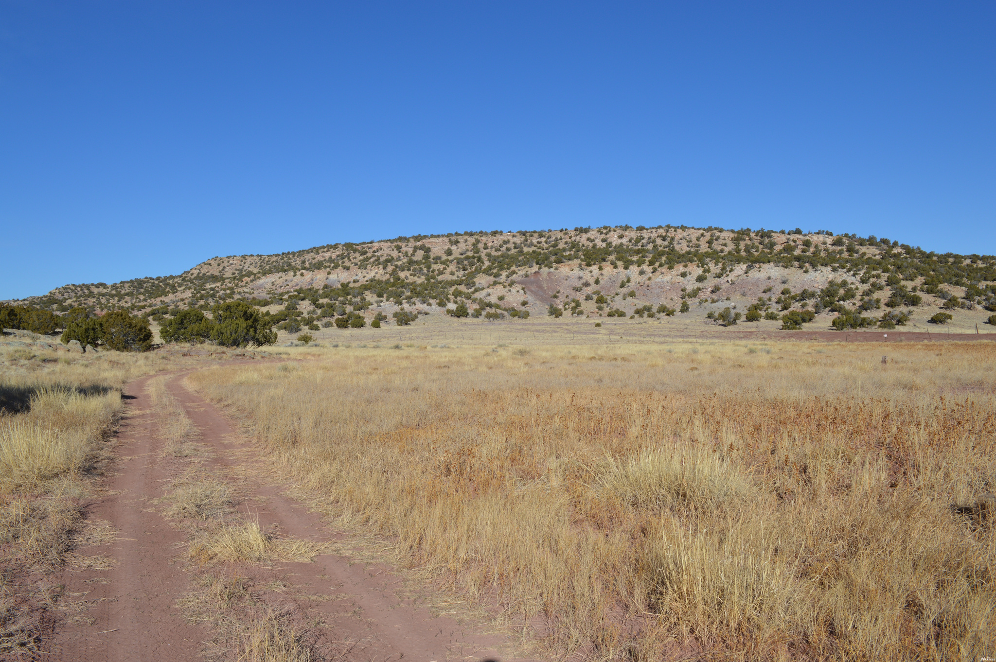 Land in Prewitt 3