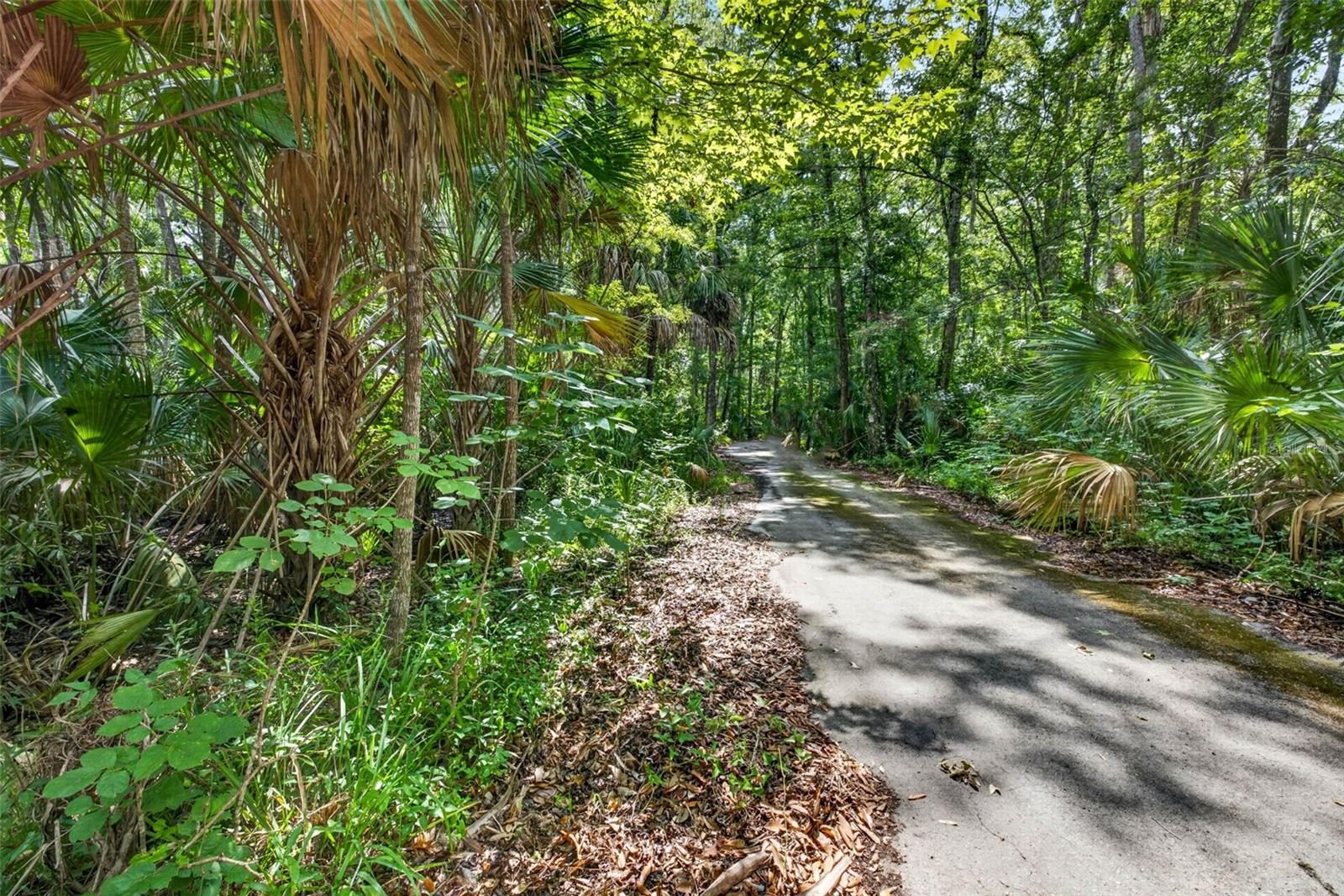 Land in HOMOSASSA 3