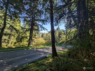 99991 Dowans Creek Road, Home with 0 bedrooms, 0 bathrooms and null parking in Forks WA | Image 3