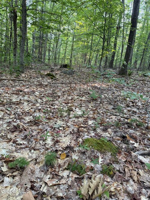 354 Dixon Hill Rd, Diamond Point, NY, 12824-2522 | Card Image