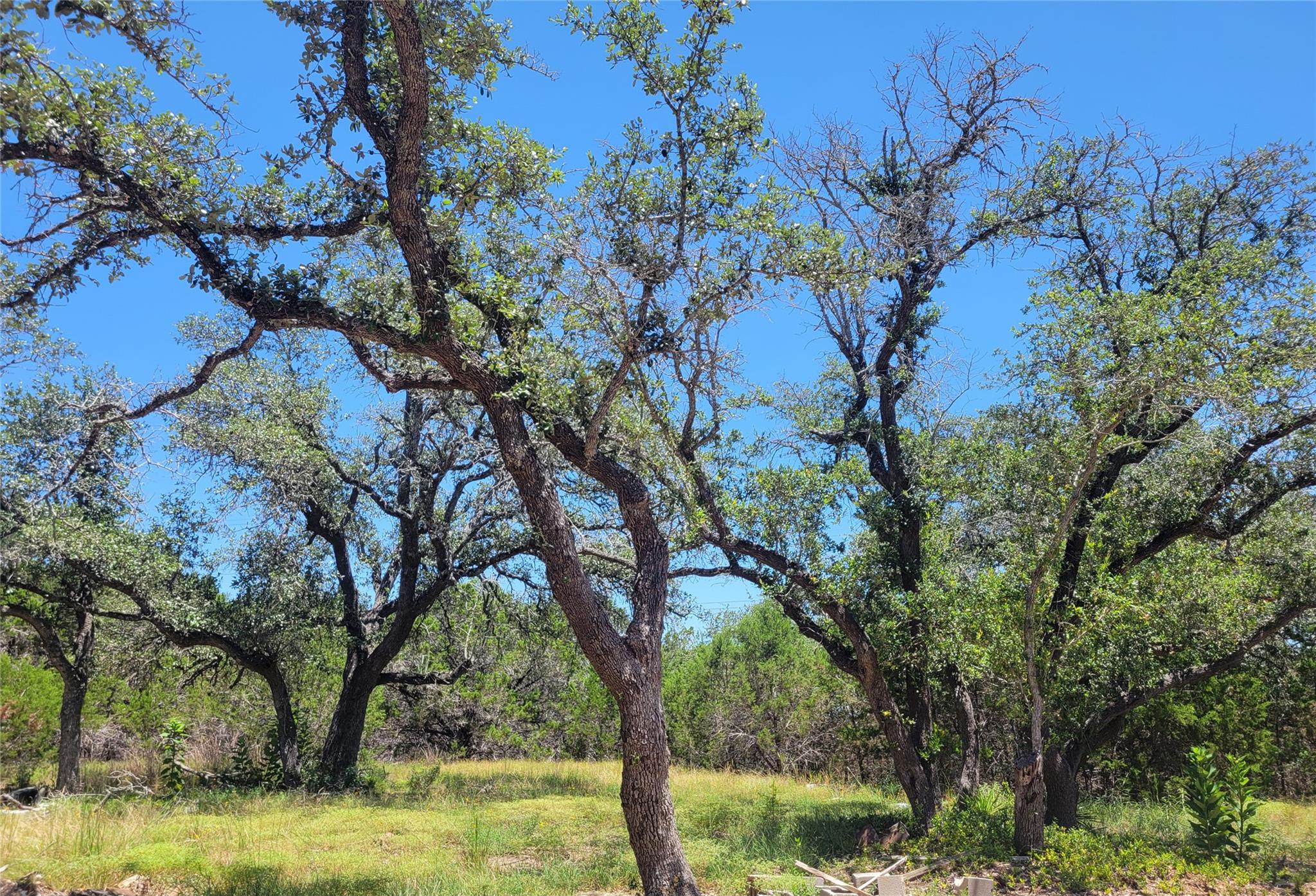 Land in Blanco 4