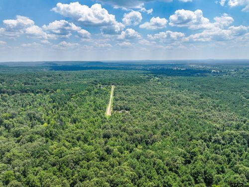 229 Pr 3900 Rd, Gilmer, TX, 75644 | Card Image