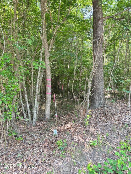 lot-25-25 Buckhorn Church Rd, Como, NC, 27818 | Card Image