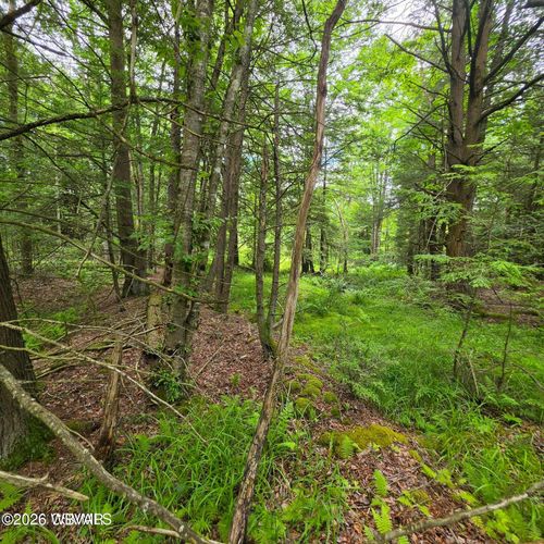 lot-5-PARCEL 095 Payne Run Lane, Dushore, PA, 18614 | Card Image