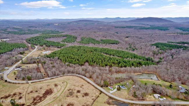 0 Morgan Co Hwy, Home with 0 bedrooms, 0 bathrooms and null parking in Sunbright TN | Image 6