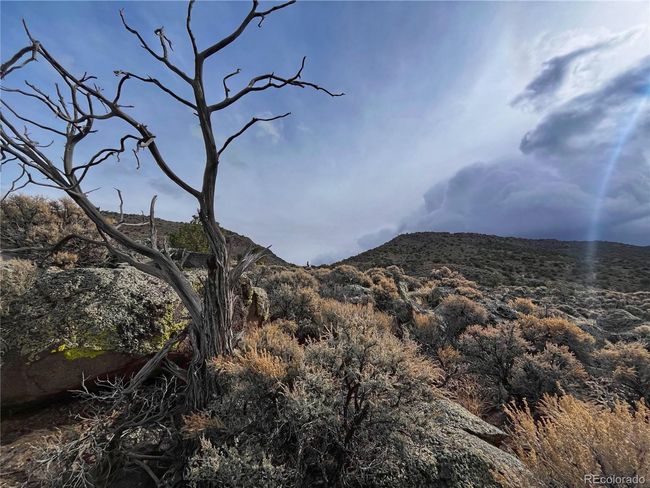0 Brown Ct, Home with 0 bedrooms, 0 bathrooms and null parking in San Luis CO | Image 8