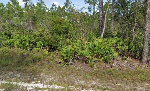 12067 Platano Dr, Punta Gorda, FL, 33955 | Card Image