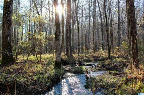 0-0 Indian Gap Trail, Mccalla, AL, 35111 | Card Image