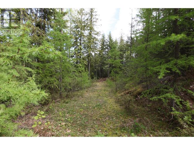 434 Lexington Ave, Home with 0 bedrooms, 0 bathrooms and null parking in Procter BC | Image 42