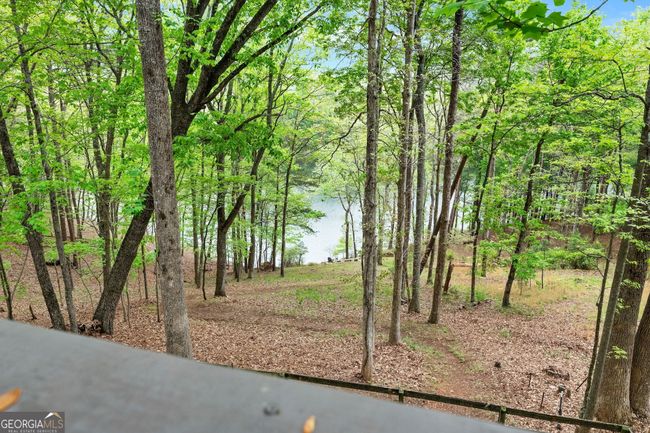 19 Long Swamp Dr, House other with 3 bedrooms, 4 bathrooms and null parking in Jasper GA | Image 37