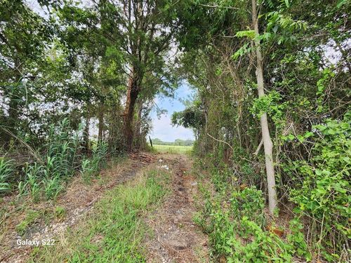 40224 Fm 1488 Rd, Hempstead, TX, 77445-7710 | Card Image