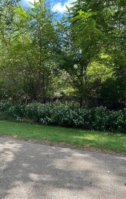 306 Platte Dr, DIXON, IL, 61021-7313 | Card Image