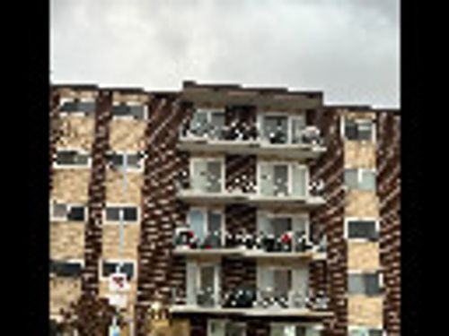 apt-24a-2900 Maple Ave, Downers Grove, IL, 60515-4123 | Card Image