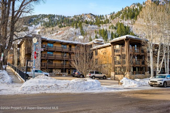 202 - 131 E Durant Ave, Condo with 2 bedrooms, 2 bathrooms and null parking in Aspen CO | Image 14