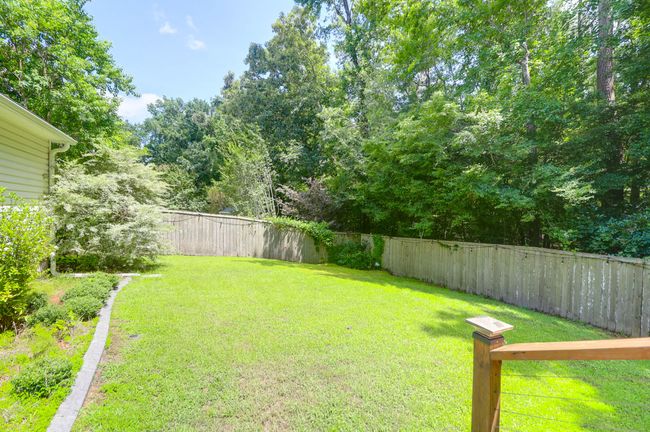 9133 Markley's Grove -Tidalcreekphoto- ( | Image 42