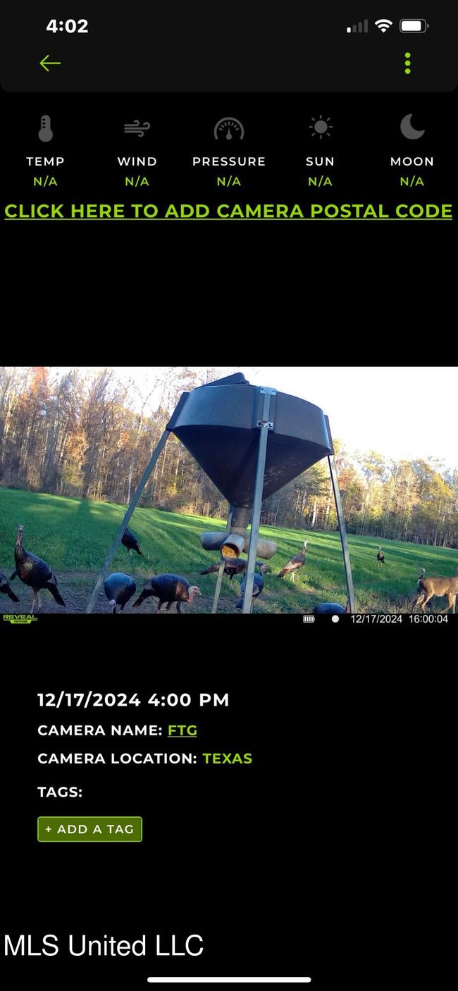 leaf turkey | Image 15