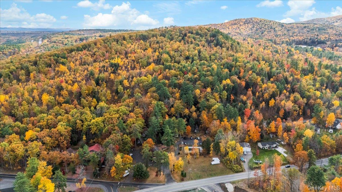 Commercial Sale in Lake George 3