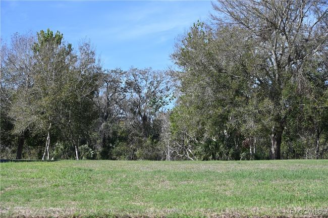 9648 E White Egret Path, Home with 0 bedrooms, 0 bathrooms and null parking in INVERNESS FL | Image 8