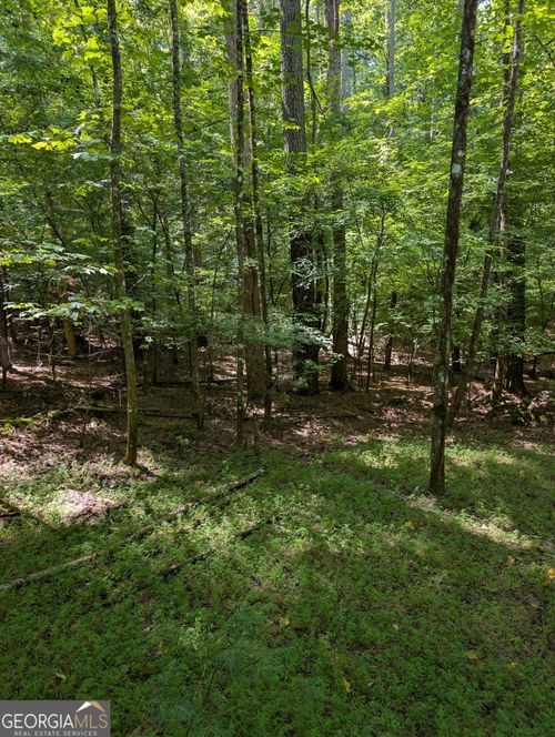 LOT 3079R Monocle Dr, Ellijay, GA, 30540 | Card Image