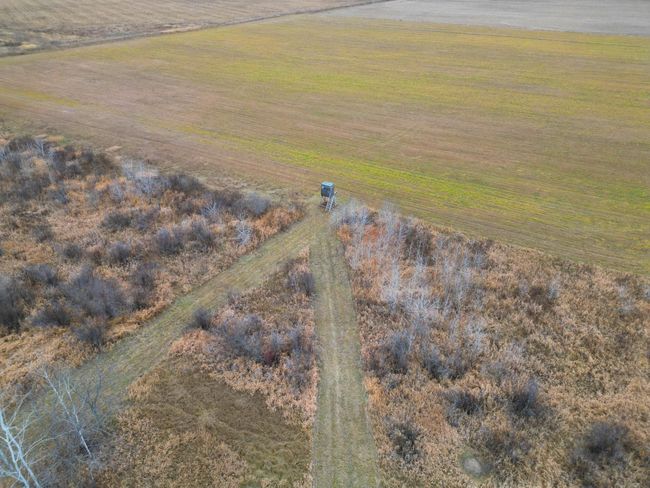 DJI_0388.JPG | Image 36