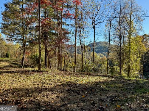 0 Zoellner Ln, Dillard, GA, 30537 | Card Image