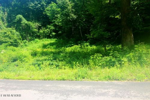 TBD Carrs Creek Rd, Townsend, TN, 37882 | Card Image