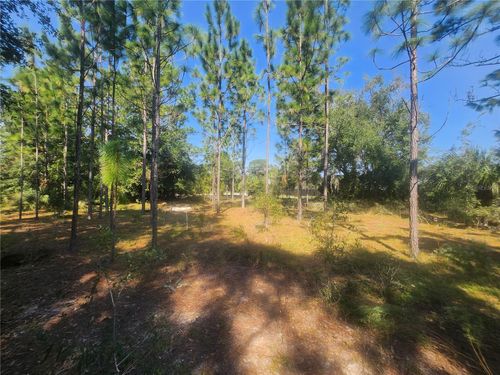 Lot 28 Se 102nd Terrace, BELLEVIEW, FL, 34420 | Card Image