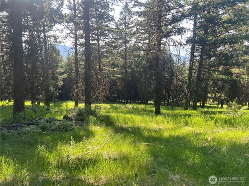 0 TBD Janet Marie Road, Tonasket, WA, 98855 | Card Image