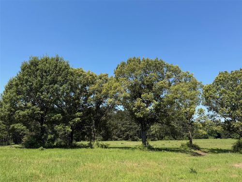 TBD Hwy 75 South, Buffalo, TX, 75831 | Card Image