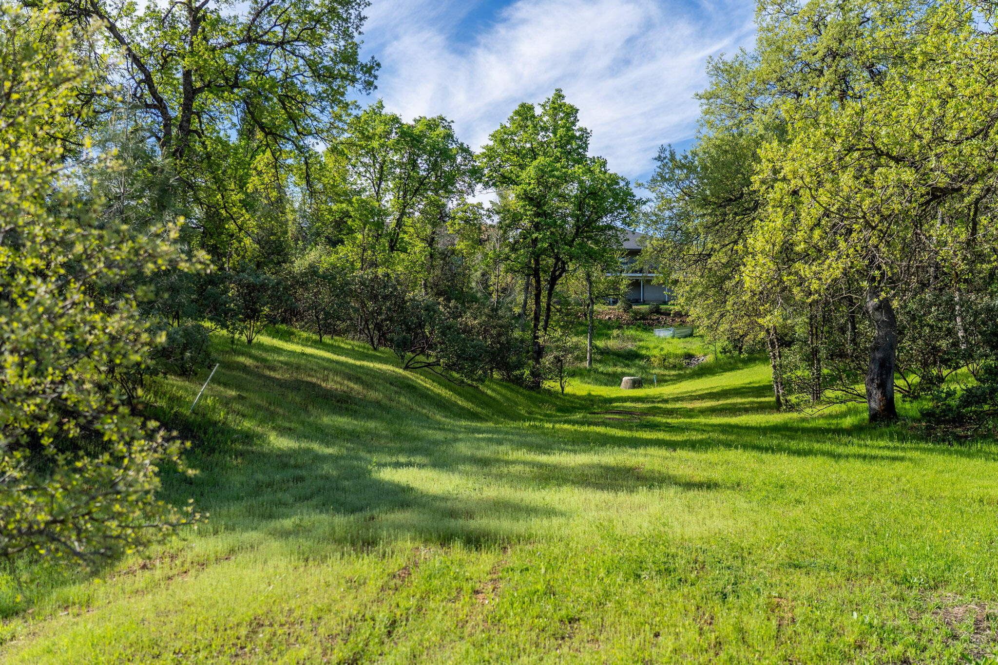 Land in Redding 4