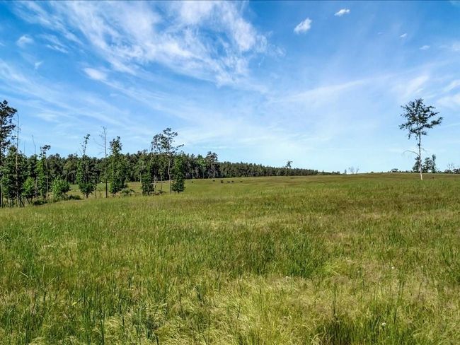 3103 Cheeseland Rd, Home with 0 bedrooms, 0 bathrooms and null parking in Pollok TX | Image 41