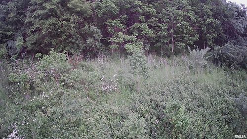 000 County Road 25 E, Macedonia, IL, 62860 | Card Image