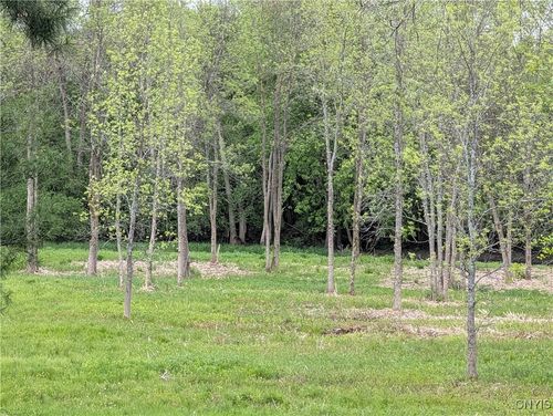 16744 Thompson Trail Drive, Brownville, NY, 13634 | Card Image
