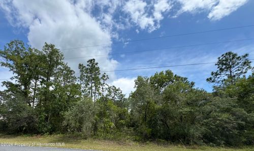 Lot 5 Wood Owl Ave, Brooksville, FL, 34614 | Card Image