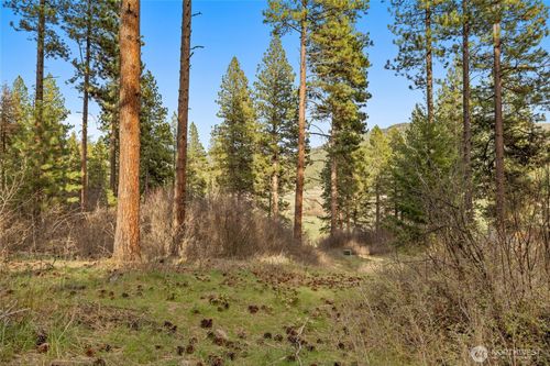 250 Fir Tree Drive, Cle Elum, WA, 98922 | Card Image