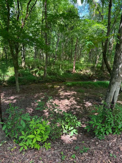 219 York Dr, Rogersville, AL, 35652 | Card Image