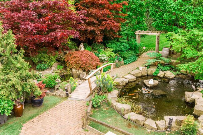 View of yard with a small pond | Image 22