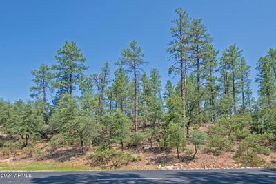 265 - 3002 S Rim Club Drive, Home with 0 bedrooms, 0 bathrooms and null parking in Payson AZ | Image 2