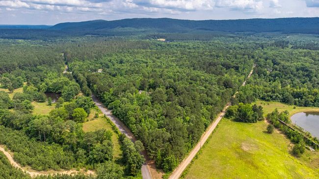 95 Thunder Mountain Rd, House other with 4 bedrooms, 3 bathrooms and null parking in Caddo Gap AR | Image 47