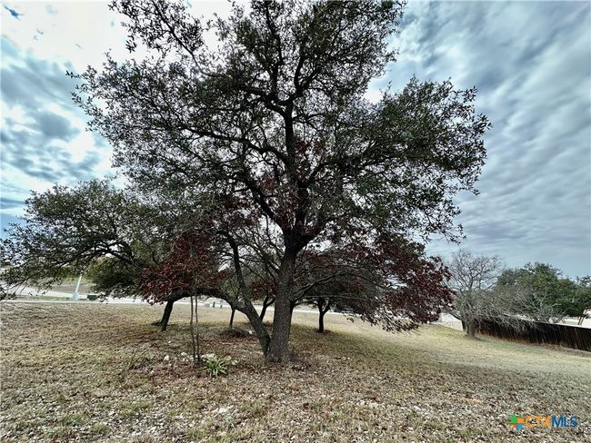 24 Andy's Pt Point, Home with 0 bedrooms, 0 bathrooms and null parking in Burnet TX | Image 11