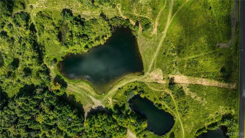 4 Phillips Road, Colden, NY, 14080 | Card Image