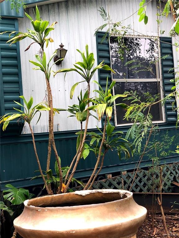 Garden St, Mercedes, TX 78570