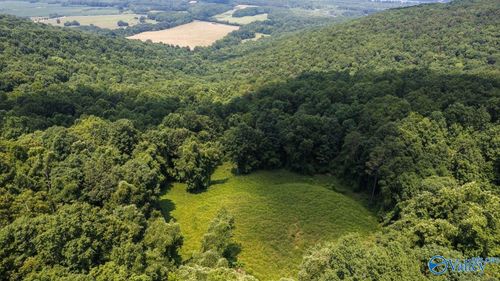 44 Highway 117, Flat Rock, AL, 35966 | Card Image