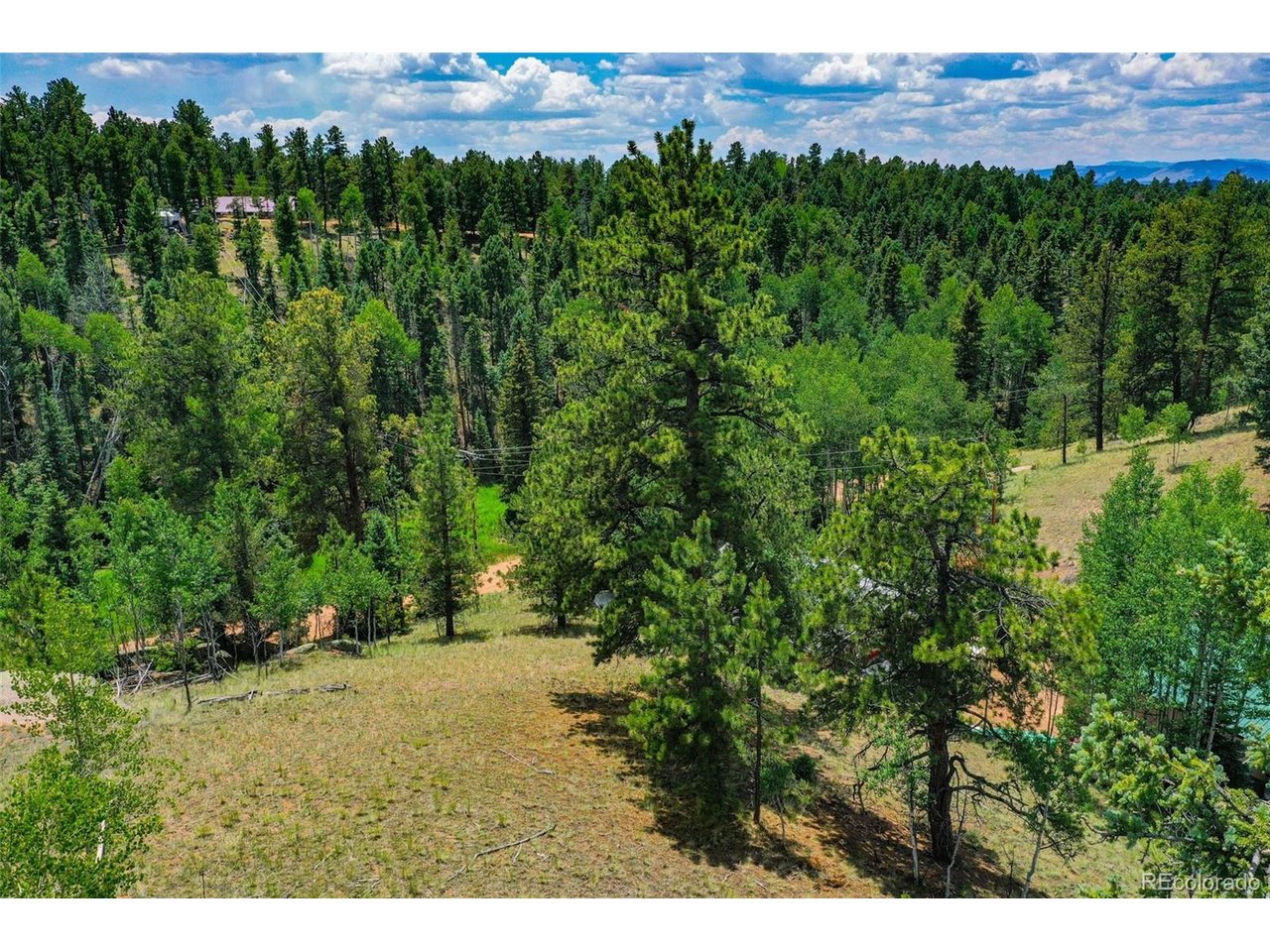 Land in Florissant 5